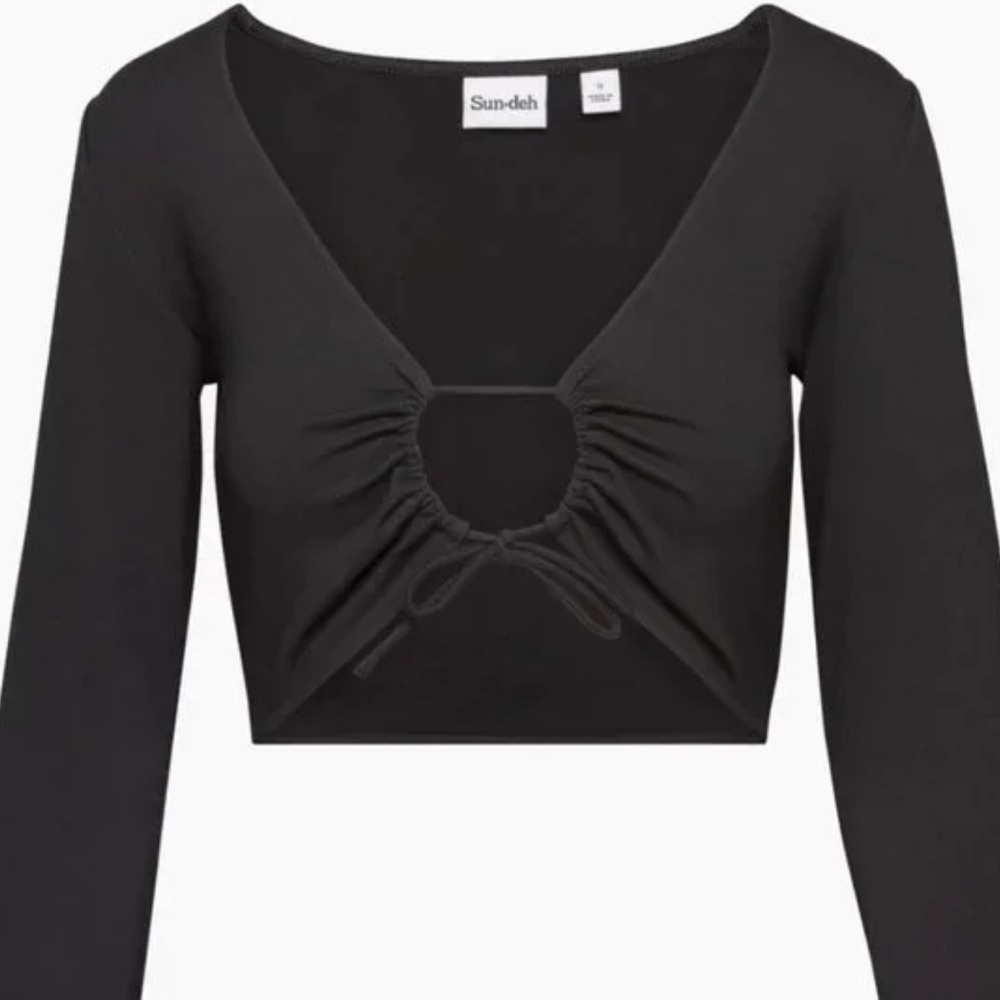 Aritvia Brown Long Sleeve Crop top with tie in front